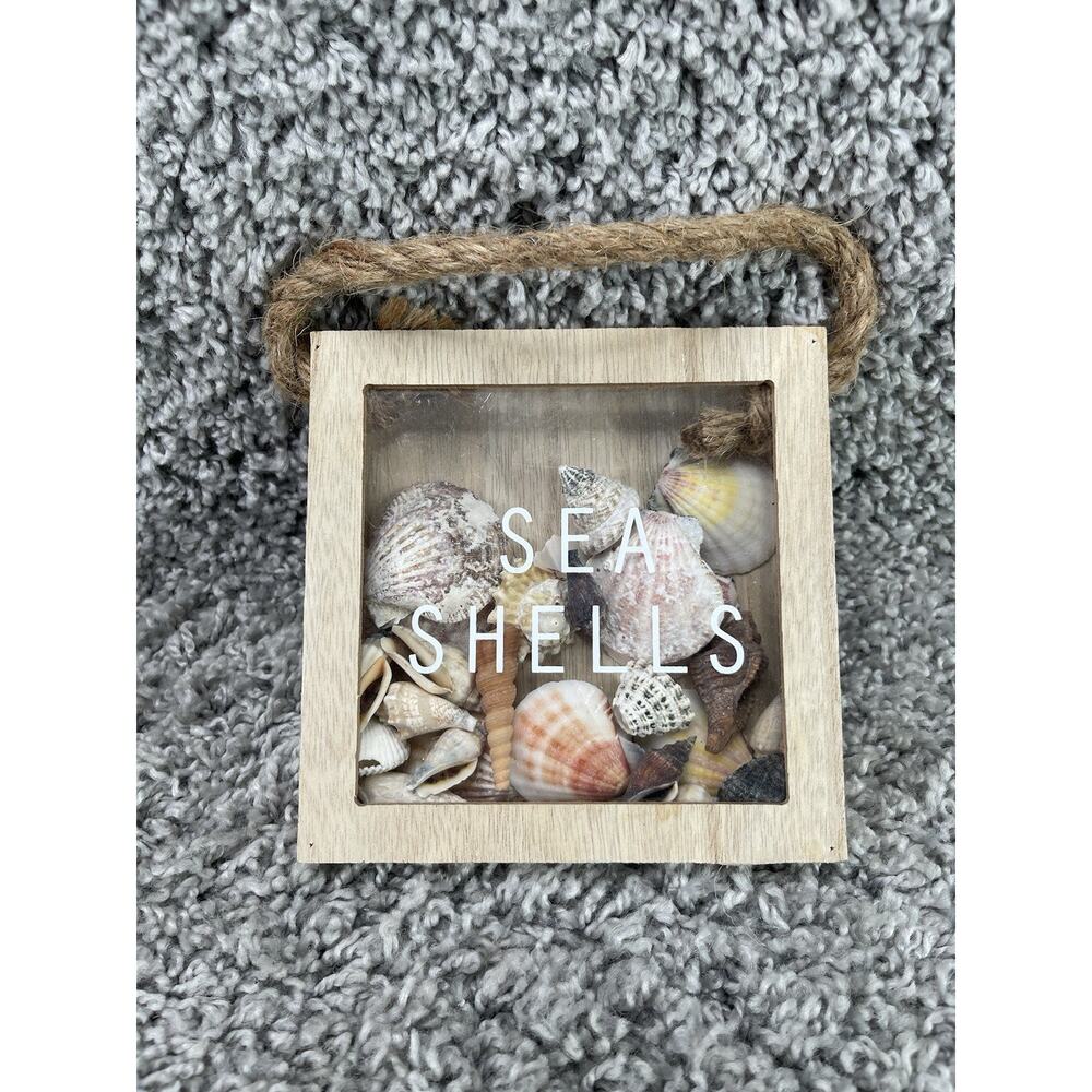 Homemade Seashell Shadow Box Small Hanging Or Freestanding Home Decor